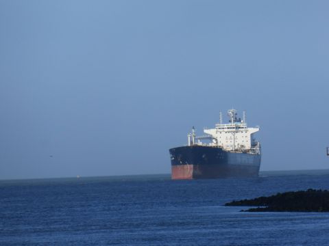 Qi Lin Zuo in IJmuiden, 17 feb 2015