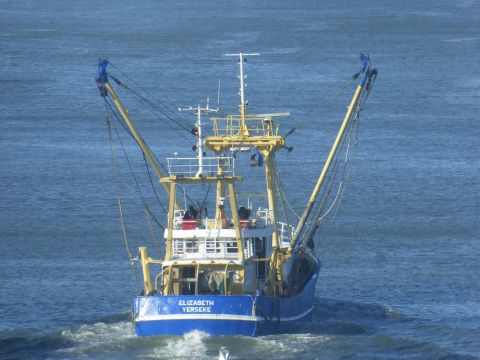YE-139 ELIZABETH in IJmuiden, 18 feb 2015