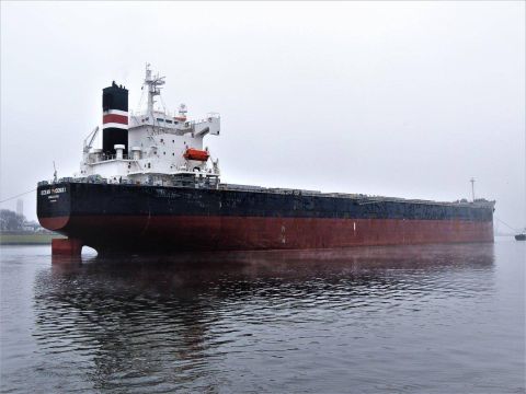 OCEAN PHOENIX in IJmuiden, 30 dec 2016