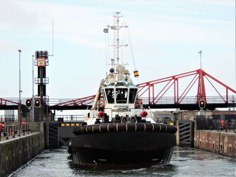Bernardus in IJmuiden, 4 jan 2017