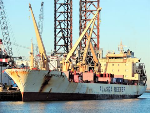 CHILEAN REEFER in IJmuiden, 20 jan 2017