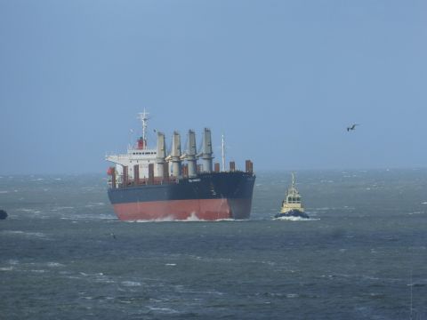 Sea Honest in IJmuiden, 24 feb 2015