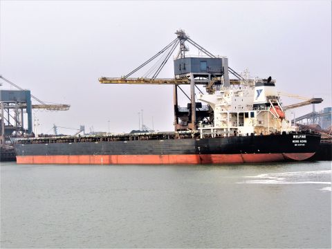 WELFINE in IJmuiden, 18 feb 2017