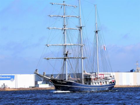 THALASSA in IJmuiden, 9 mrt 2017