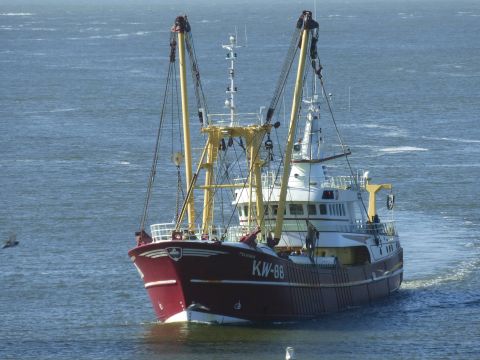 KW-88 PELIKAAN