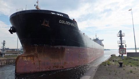 Golden Bull in IJmuiden, 15 apr 2017