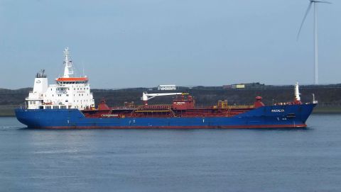 PATALYA in IJmuiden