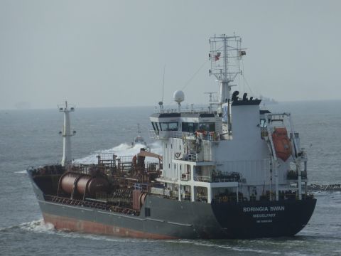 Boringia Swan in IJmuiden, 5 mrt 2015