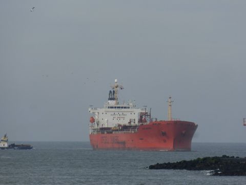 Bow Heron in IJmuiden, 7 mrt 2015