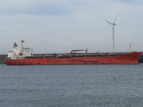 Bow Heron in IJmuiden, 7 mrt 2015