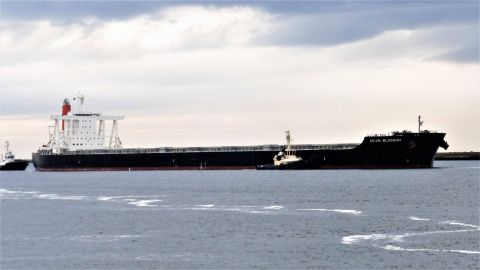 ASIAN BLOSSOM in IJmuiden, 15 aug 2017