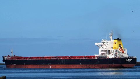 AP JADRAN in IJmuiden