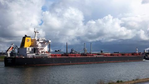 AP ARGOSY in IJmuiden