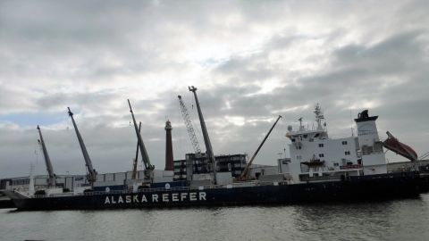 DUNEDIN STAR in IJmuiden, 4 dec 2017
