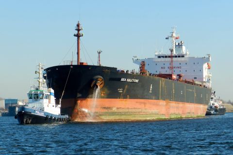 SEA HALCYONE in IJmuiden, 12 mrt 2015
