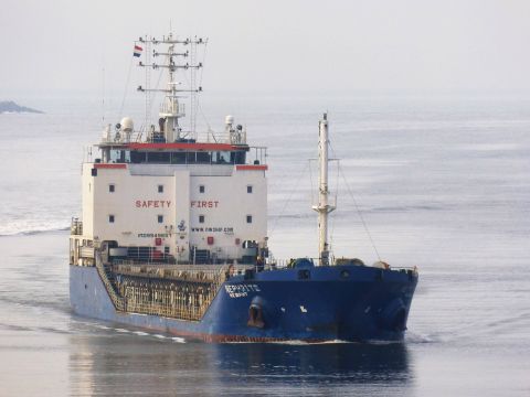Nephrite in IJmuiden