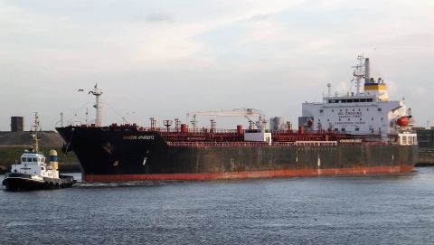 HORIZON APHRODITE in IJmuiden