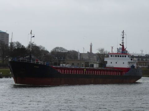 Eagle in IJmuiden, 27 mrt 2015