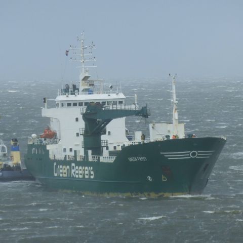 Green Frost in IJmuiden, 31 mrt 2015