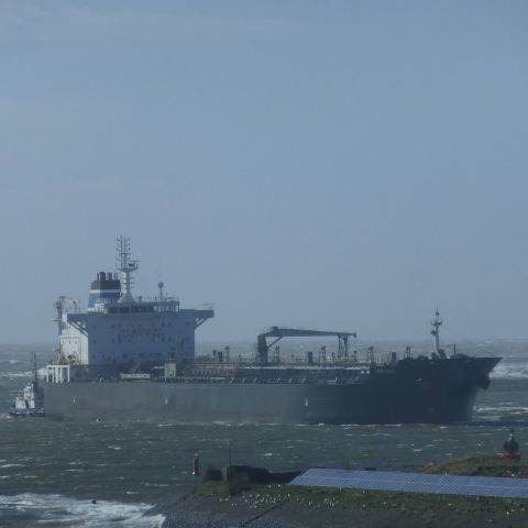 Mersini in IJmuiden, 31 mrt 2015