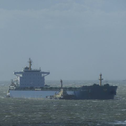 Selandia in IJmuiden, 31 mrt 2015