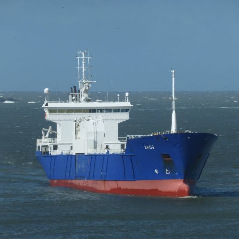 Skog in IJmuiden, 2 apr 2015