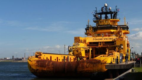 MAGNE VIKING