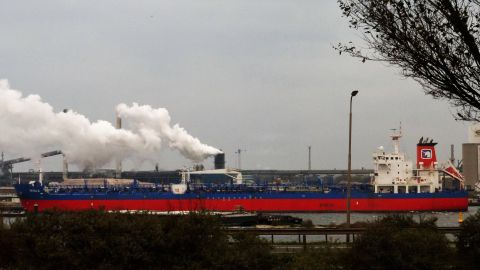 Inyala in IJmuiden, 20 nov 2018