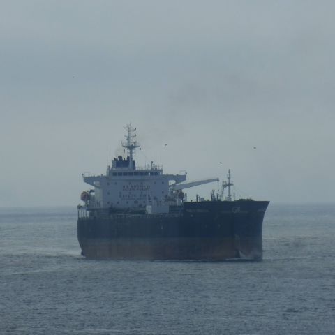 MARE DI VENEZIA in IJmuiden, 7 apr 2015