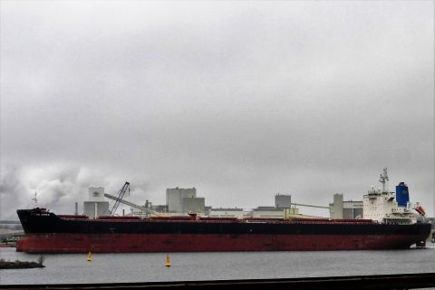 GOLDEN AMBER in IJmuiden, 29 dec 2018