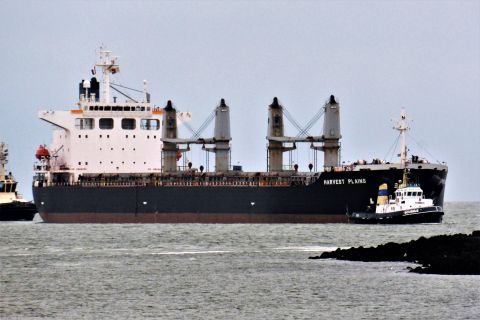 HARVEST PLAINS in IJmuiden, 6 jan 2019