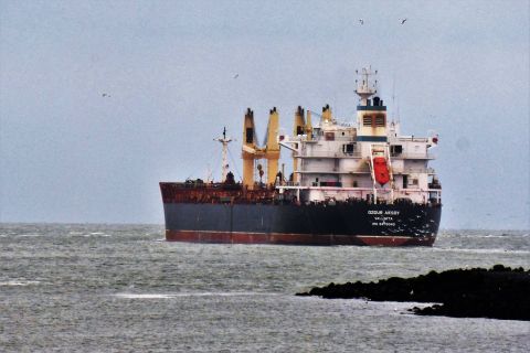 OZGUR AKSOY in IJmuiden, 6 jan 2019