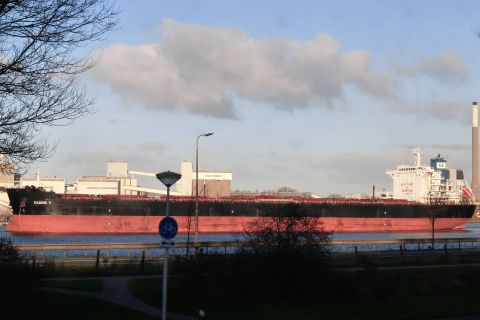 NADINE V in IJmuiden, 9 jan 2019
