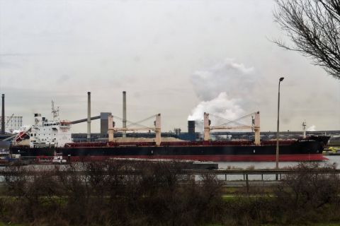 LIBERTY BAY in IJmuiden, 4 feb 2019