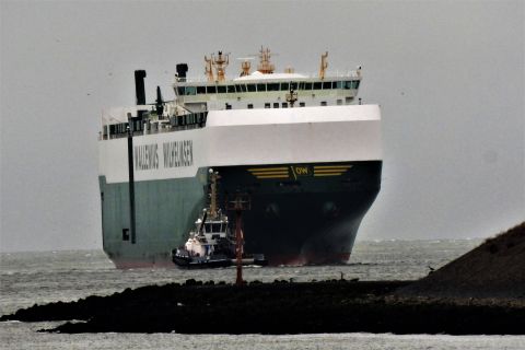 FIGARO (vehicle-carrier)