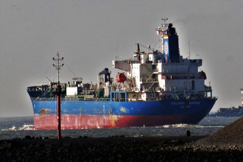 CELCIUS BIRDIE in IJmuiden, 12 feb 2019