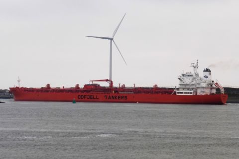 BOW PIONEER in IJmuiden, 22 feb 2019
