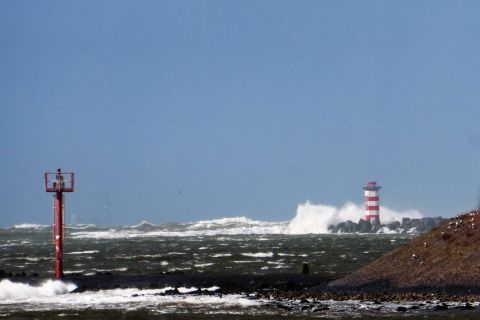 Pieren IJmuiden 11-03-19 in IJmuiden, 11 mrt 2019