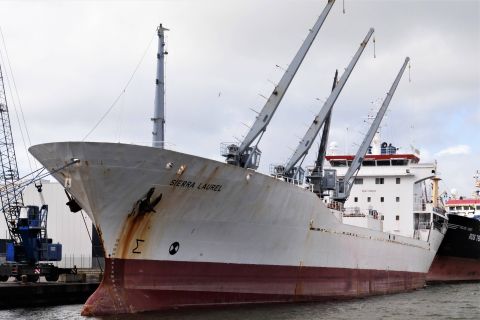 SIERRA LAUREL in IJmuiden, 17 mrt 2019