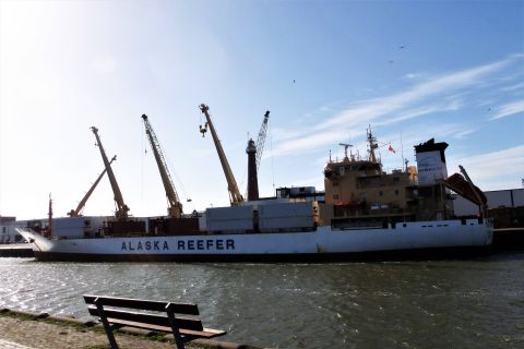 CHILEAN REEFER in IJmuiden, 18 mrt 2019