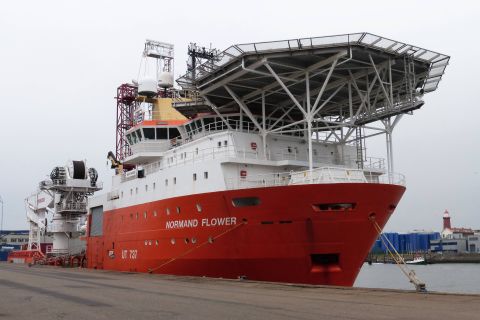 NORMAND FLOWER in IJmuiden, 8 mei 2019