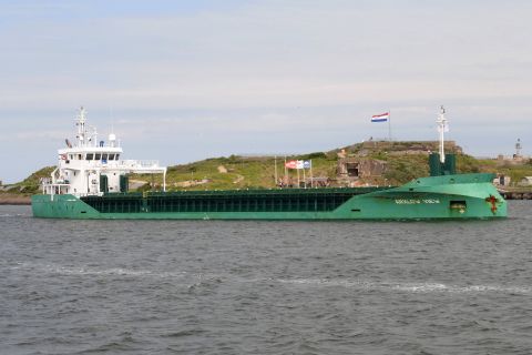 ARKLOW VIEW in IJmuiden, 10 jun 2019
