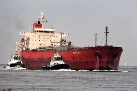 PLATYTERA in IJmuiden, 11 jul 2019