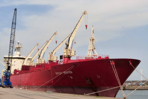 DITLEV REEFER in IJmuiden, 27 jul 2019