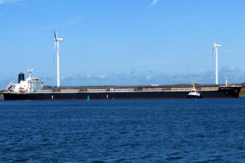 BABY HERCULES in IJmuiden, 8 aug 2019