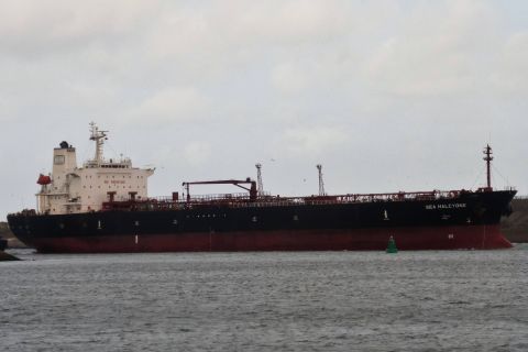 SEA HALCYONE in IJmuiden, 11 aug 2019