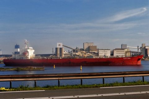 PLATYTERA in IJmuiden, 25 aug 2019