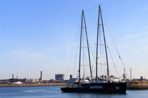 RAINBOW WARRIOR in IJmuiden, 31 aug 2019