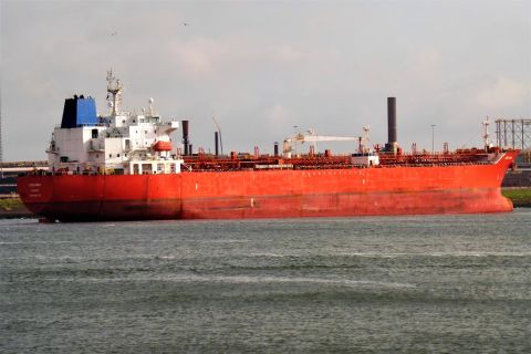 NEW DAWN in IJmuiden, 27 sep 2019
