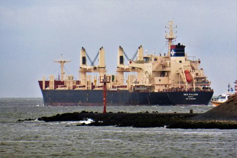 SEA FALCON in IJmuiden, 26 okt 2019